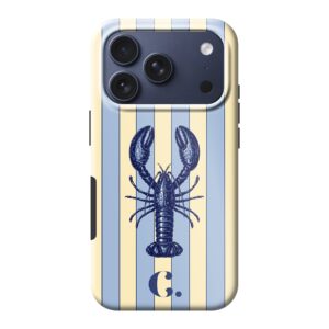 Candy Sardinia Sea iPhone Tough case
