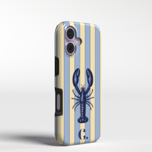 Candy Sardinia Sea iPhone Tough case